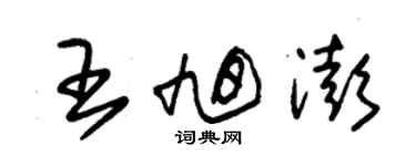 朱錫榮王旭澎草書個性簽名怎么寫