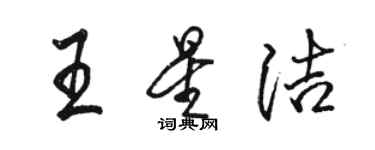 駱恆光王星潔行書個性簽名怎么寫