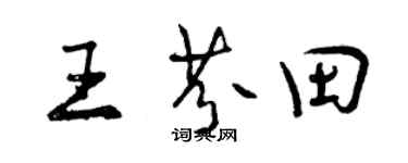 曾慶福王芬田行書個性簽名怎么寫