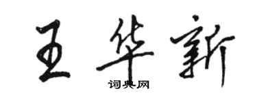 駱恆光王華新行書個性簽名怎么寫