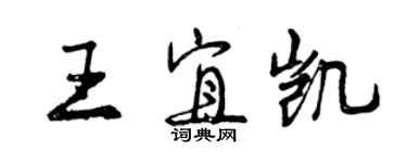 曾慶福王宜凱行書個性簽名怎么寫