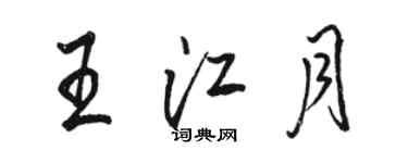 駱恆光王江月行書個性簽名怎么寫