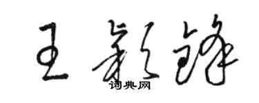 駱恆光王穎鋒草書個性簽名怎么寫