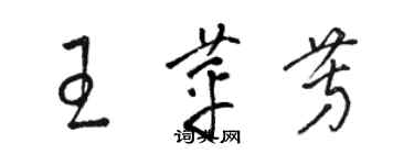 駱恆光王苹芳草書個性簽名怎么寫