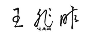 駱恆光王非昨草書個性簽名怎么寫