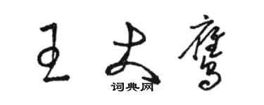 駱恆光王大鷹草書個性簽名怎么寫