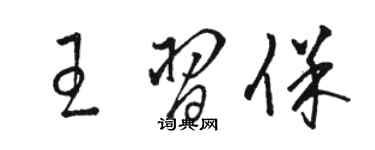 駱恆光王習保草書個性簽名怎么寫