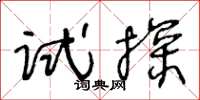 王冬齡試探草書怎么寫