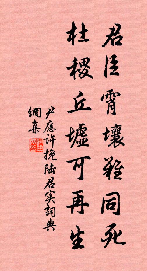 晨興未櫛盥，扶杖並檐立 詩詞名句