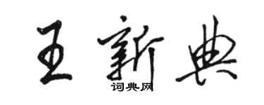 駱恆光王新典行書個性簽名怎么寫