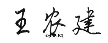 駱恆光王農建行書個性簽名怎么寫