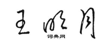 駱恆光王明月草書個性簽名怎么寫