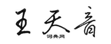 駱恆光王天音行書個性簽名怎么寫