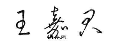 駱恆光王嘉君草書個性簽名怎么寫