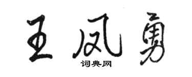 駱恆光王鳳勇行書個性簽名怎么寫