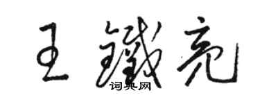 駱恆光王鐵亮草書個性簽名怎么寫