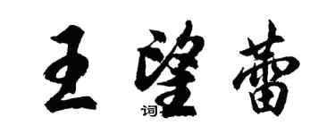 胡問遂王望蕾行書個性簽名怎么寫