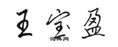 駱恆光王寶盈行書個性簽名怎么寫