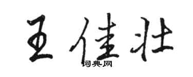駱恆光王佳壯行書個性簽名怎么寫