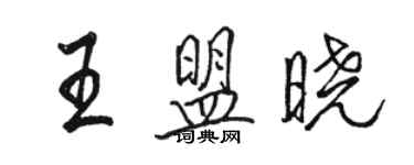 駱恆光王盟曉行書個性簽名怎么寫