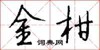 錢沛雲金柑行書怎么寫