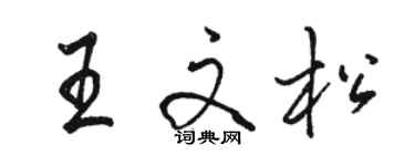 駱恆光王文松行書個性簽名怎么寫