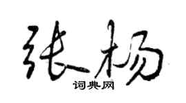 曾慶福張楊行書個性簽名怎么寫