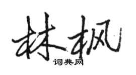 駱恆光林楓行書個性簽名怎么寫