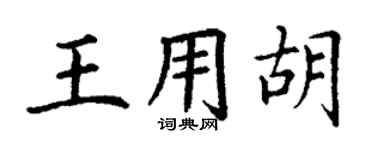 丁謙王用胡楷書個性簽名怎么寫