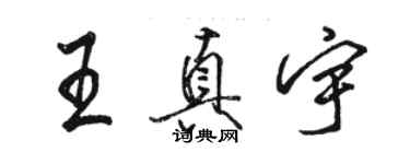 駱恆光王真宇行書個性簽名怎么寫