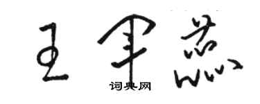 駱恆光王軍蕊草書個性簽名怎么寫