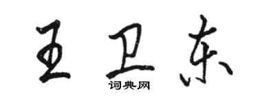 駱恆光王衛東行書個性簽名怎么寫