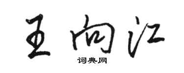 駱恆光王向江行書個性簽名怎么寫