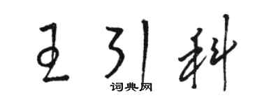 駱恆光王引科草書個性簽名怎么寫