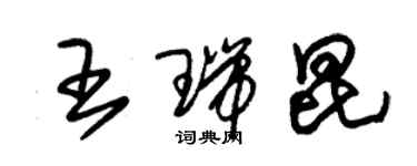 朱錫榮王瑞昆草書個性簽名怎么寫