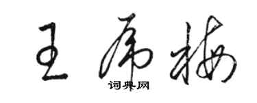 駱恆光王虎梅草書個性簽名怎么寫