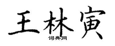 丁謙王林寅楷書個性簽名怎么寫