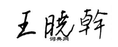 王正良王曉乾行書個性簽名怎么寫