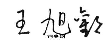 駱恆光王旭歡草書個性簽名怎么寫