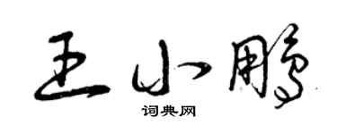 曾慶福王小鵬草書個性簽名怎么寫