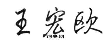 駱恆光王宏歐行書個性簽名怎么寫