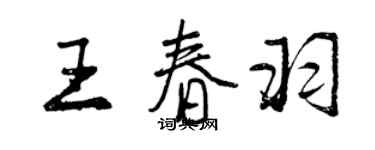 曾慶福王春羽行書個性簽名怎么寫