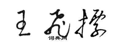 駱恆光王飛標草書個性簽名怎么寫