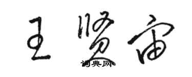 駱恆光王賢宙草書個性簽名怎么寫