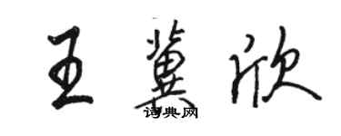 駱恆光王冀欣行書個性簽名怎么寫