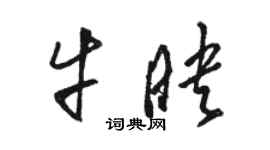 駱恆光牛映草書個性簽名怎么寫