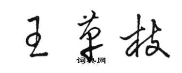 駱恆光王革枝草書個性簽名怎么寫