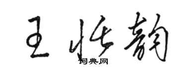 駱恆光王恬韻草書個性簽名怎么寫