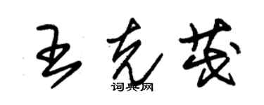 朱錫榮王克茂草書個性簽名怎么寫