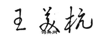 駱恆光王美杭草書個性簽名怎么寫